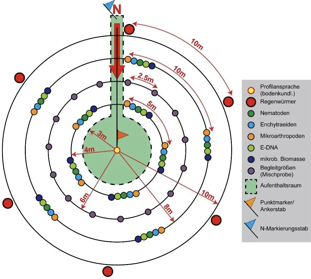 Probenahmeschema